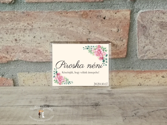 Fényképes műanyag hűtőmágnes